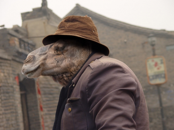 Creation of Smoking Camel: Step 6